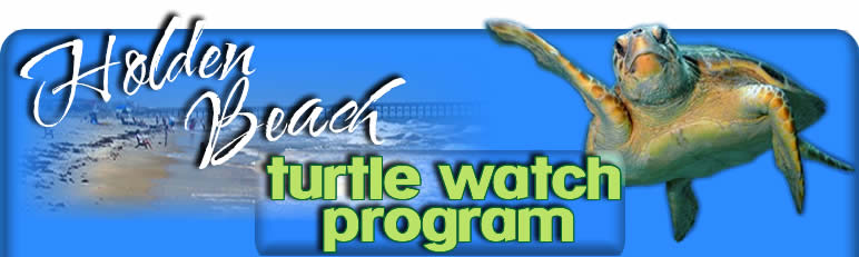 Welcome to Holden Beach Turtle Watch Program